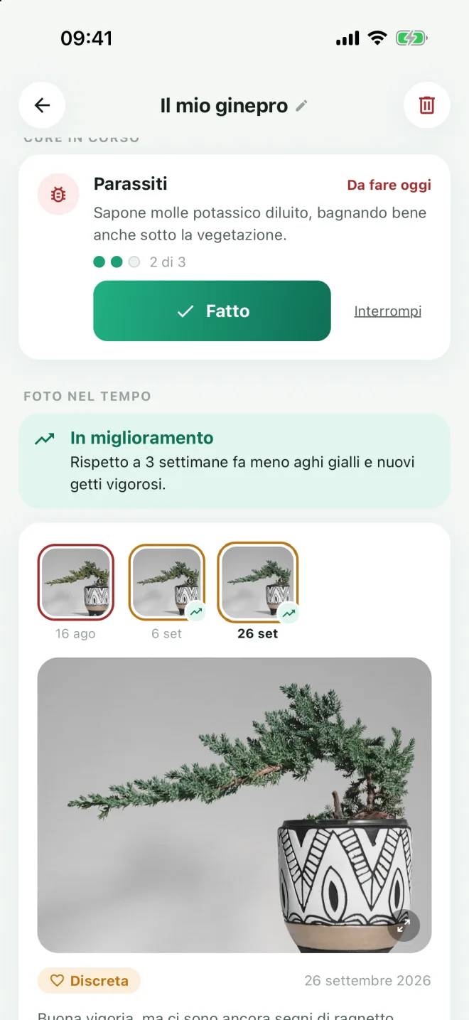 Quando qualcosa non va, un piano