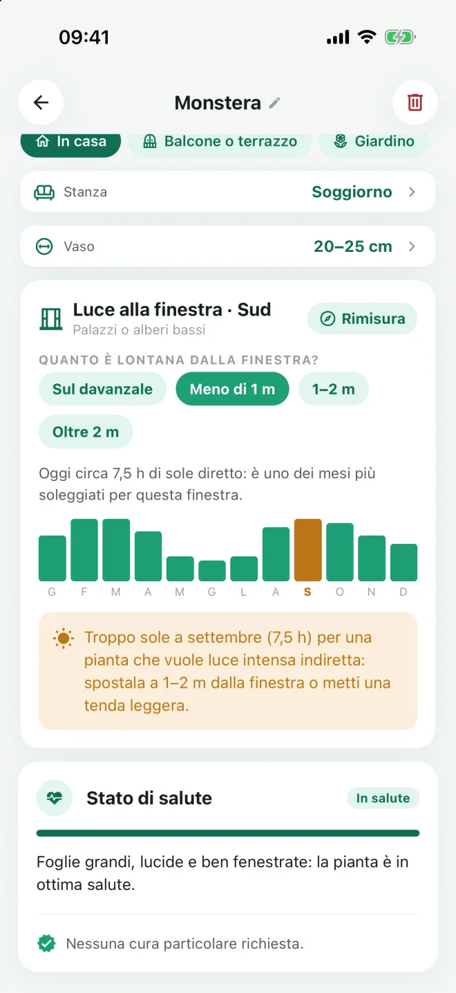 Quanta luce prende davvero quella finestra